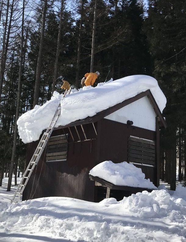 第2回雪下ろし造林小屋