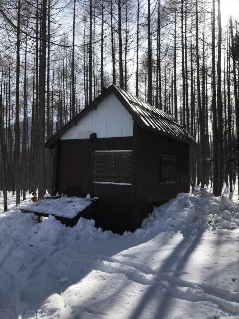 雪下ろし後の造林小屋