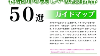 神奈川の美しい広葉樹林50選ガイドマップのサムネイル